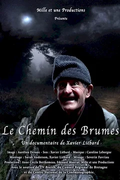 Affiche du film Le chemin des brumes