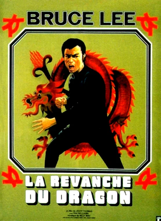 Affiche du film : La revanche du dragon