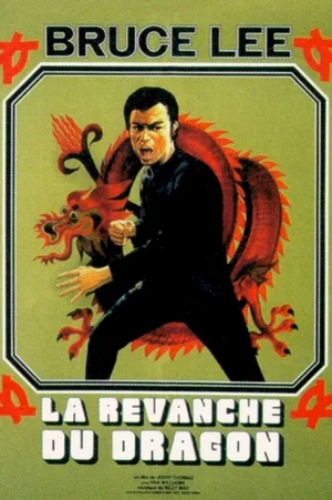 Affiche du film : La revanche du dragon