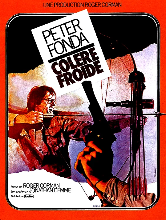 Affiche du film : Colere froide