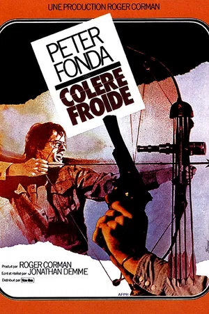 Affiche du film : Colere froide