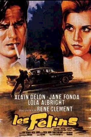 Photo du film : Les félins