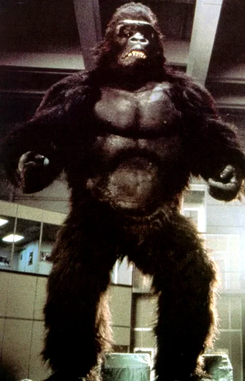 Photo 2 du film : King kong ii