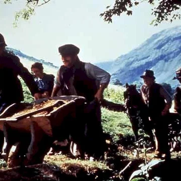 Miniature photo du film : L'anglais qui gravit une colline mais descendit une montagne
