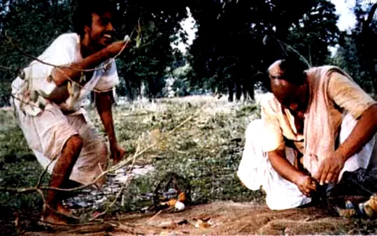 Photo du film : A l'abri de leurs ailes