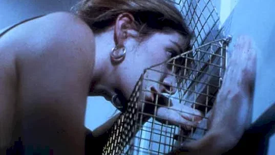 Photo 3 du film : Frissons anglais