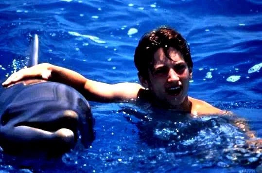 Photo 2 du film : Flipper