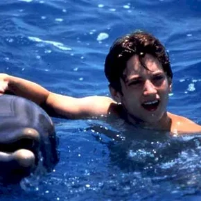 Photo du film : Flipper