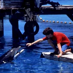 Photo du film : Flipper