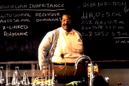 Photo 5 du film : Le professeur foldingue