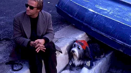 Photo 2 du film : Hercule et Sherlock