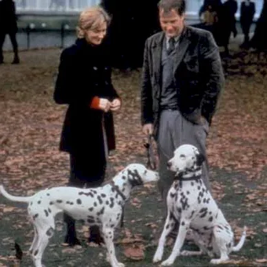 Miniature photo du film : Les 101 dalmatiens