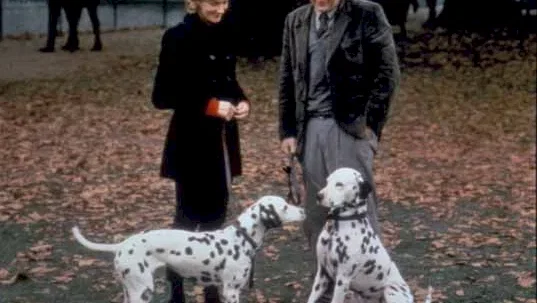 Photo 2 du film : Les 101 dalmatiens