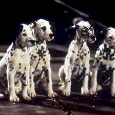 Miniature photo du film : Les 101 dalmatiens