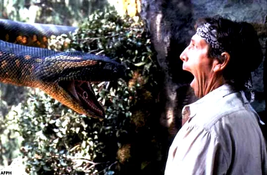 Photo 3 du film : Anaconda le prédateur