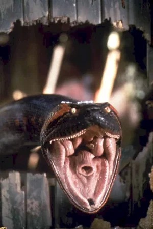 Photo du film : Anaconda le prédateur