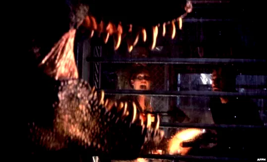 Photo 7 du film : Jurassic park II : Le monde perdu