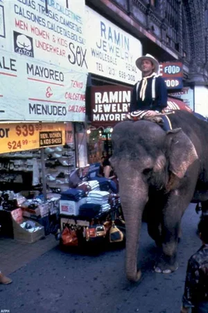 Photo du film : Un elephant sur les bras