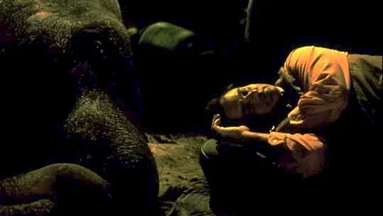 Photo du film : Un elephant sur les bras