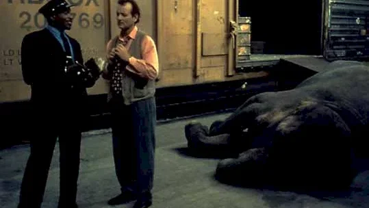 Photo du film : Un elephant sur les bras