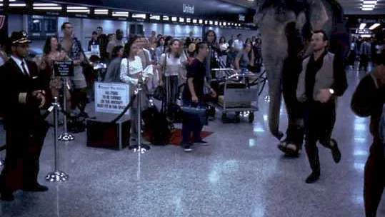 Photo du film : Un elephant sur les bras