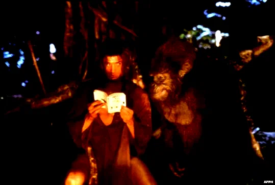 Photo 2 du film : George de la jungle