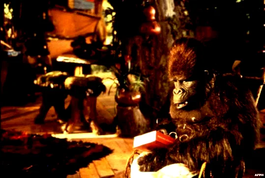 Photo 4 du film : George de la jungle