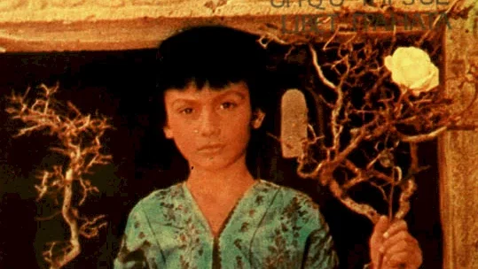 Photo 4 du film : Paradjanov, le dernier collage
