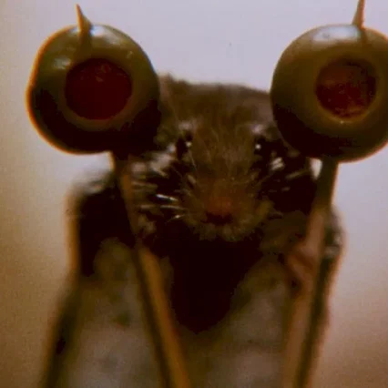 Miniature photo du film : La souris