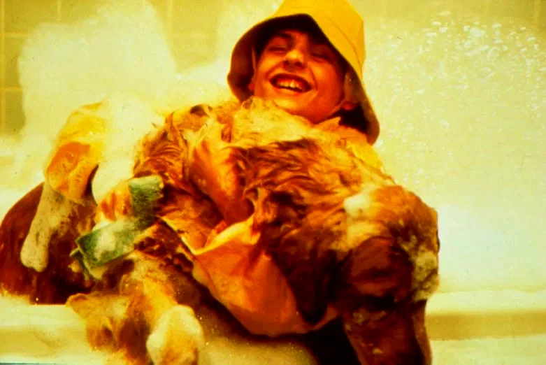 Photo 2 du film : Buddy, star des paniers