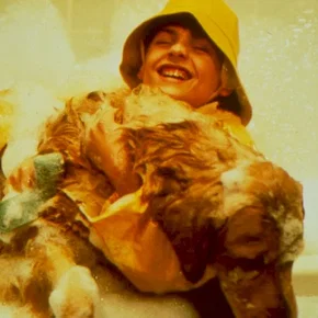 Photo du film : Buddy, star des paniers
