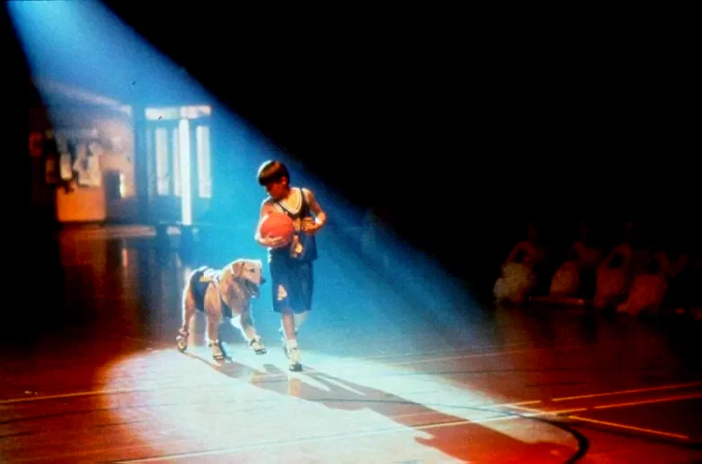 Photo 3 du film : Buddy, star des paniers