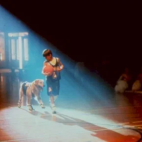 Photo du film : Buddy, star des paniers