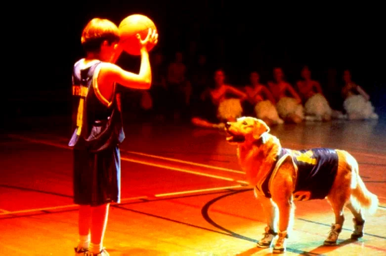 Photo 4 du film : Buddy, star des paniers