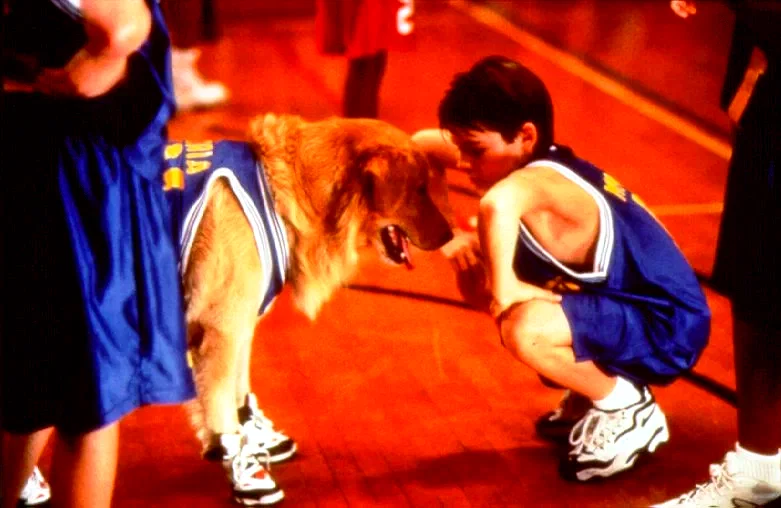 Photo 5 du film : Buddy, star des paniers