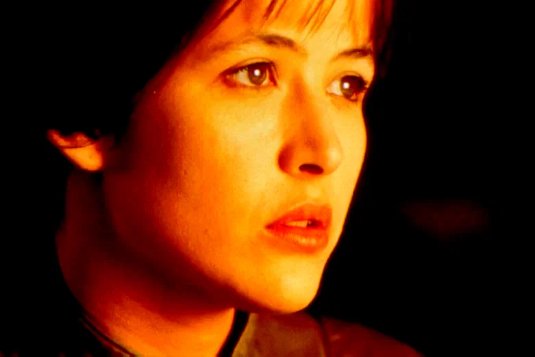 Photo 2 du film : Firelight (le lien secret)