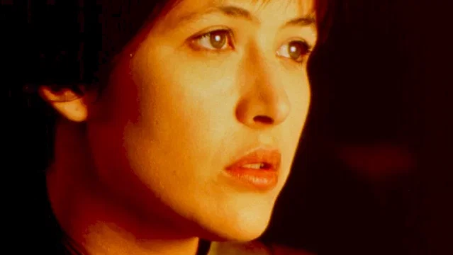 Photo du film : Firelight (le lien secret)