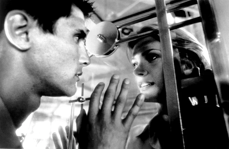 Photo 2 du film : La mutante 2