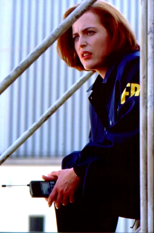 Photo 2 du film : X Files : combattre le futur