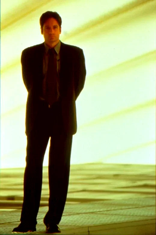 Photo 5 du film : X Files : combattre le futur
