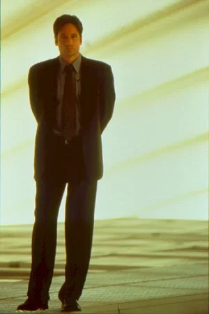 Photo du film : X Files : combattre le futur
