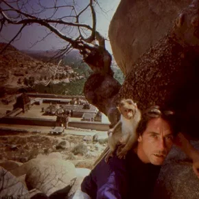 Photo du film : Hanuman