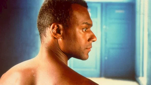 Photo 3 du film : Frantz fanon, peau noire, masque blan