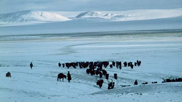 Photo 3 du film : La route du sel