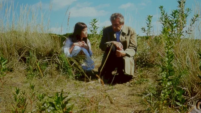 Photo 2 du film : Mille bornes