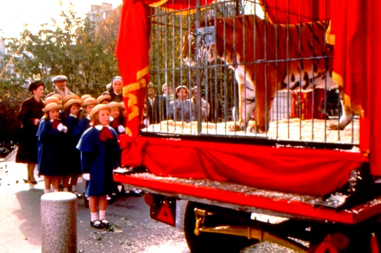 Photo 6 du film : Madeline