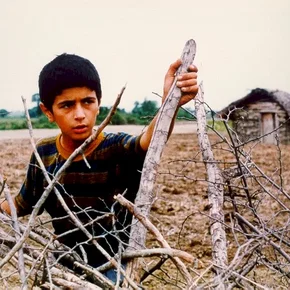 Photo du film : Le petit homme