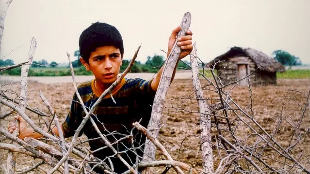 Photo 3 du film : Le petit homme