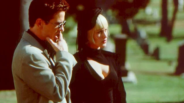 Photo 5 du film : Goodbye lover