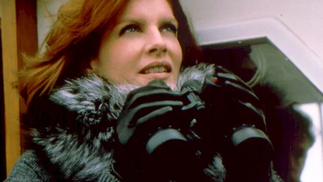 Photo du film : Thomas crown